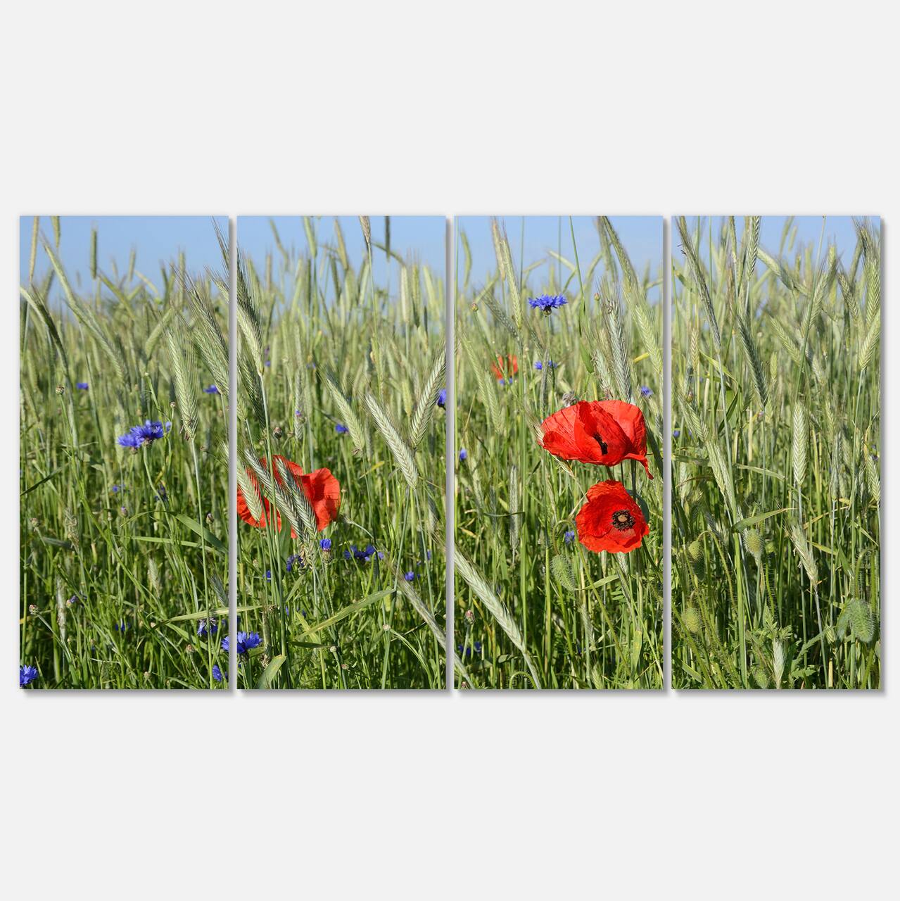 Designart - Rural Landscape with Red Poppies - Large Landscape Canvas Art
